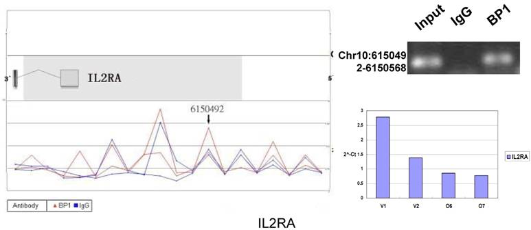 Int J Biol Sci Image