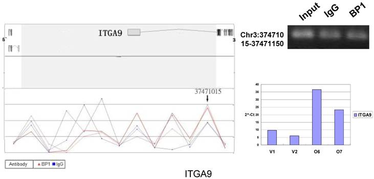 Int J Biol Sci Image