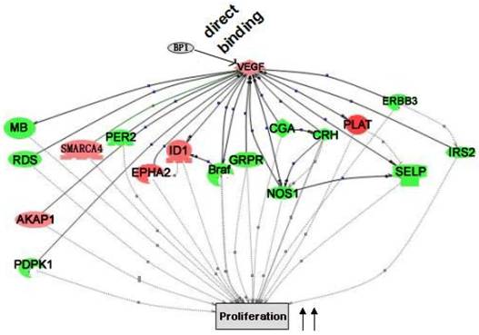 Int J Biol Sci Image