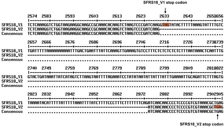 Int J Biol Sci Image