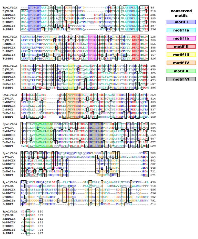 Int J Biol Sci Image