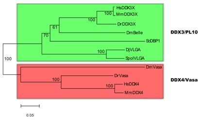 Int J Biol Sci Image