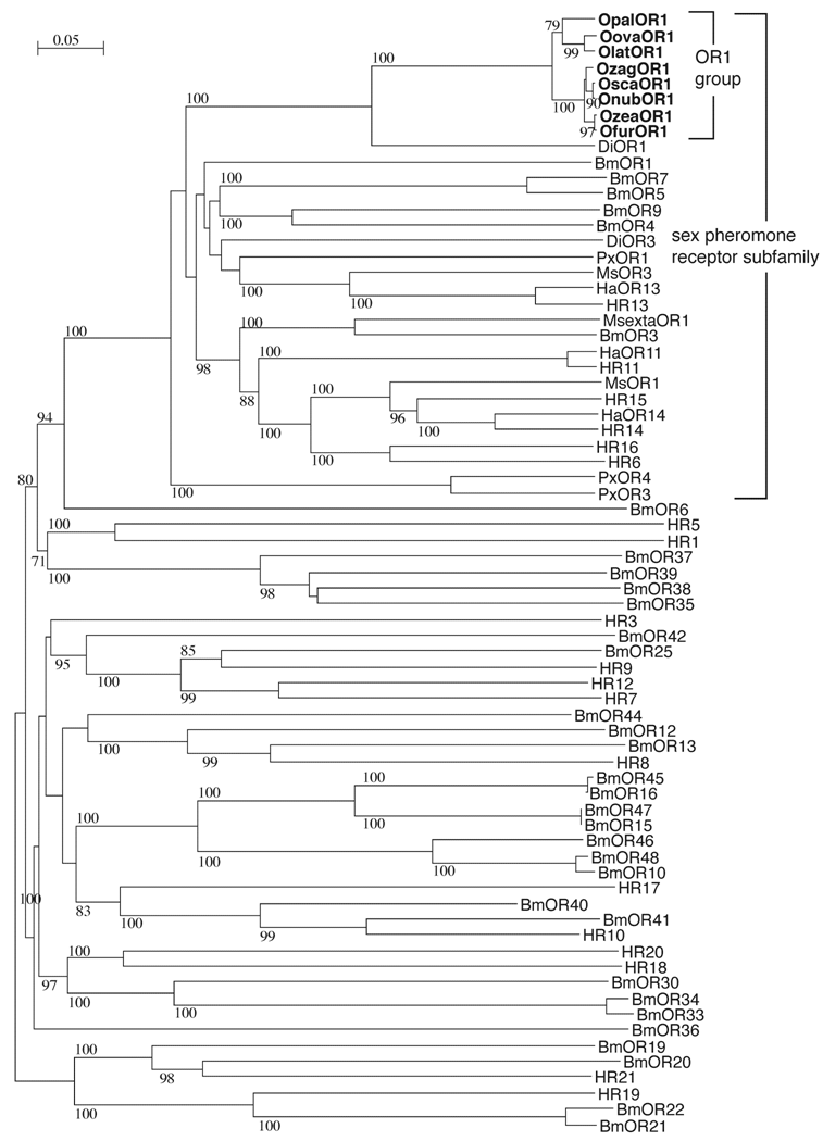 Int J Biol Sci Image