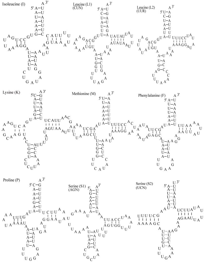 Int J Biol Sci Image