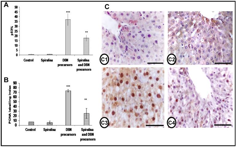 Int J Biol Sci Image