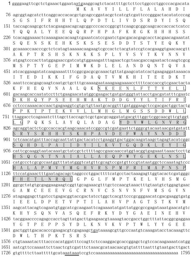 Int J Biol Sci Image