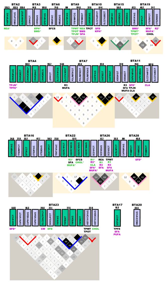 Int J Biol Sci Image