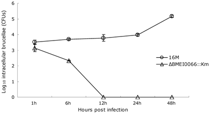 Int J Biol Sci Image