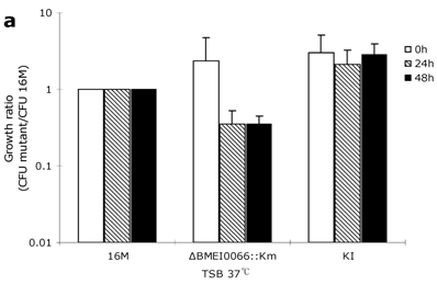 Int J Biol Sci Image