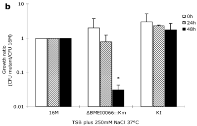 Int J Biol Sci Image