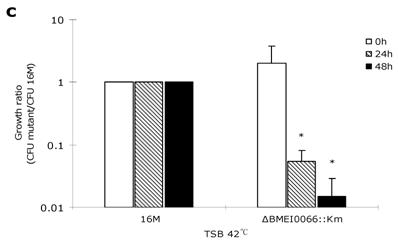 Int J Biol Sci Image