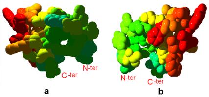 Int J Biol Sci Image