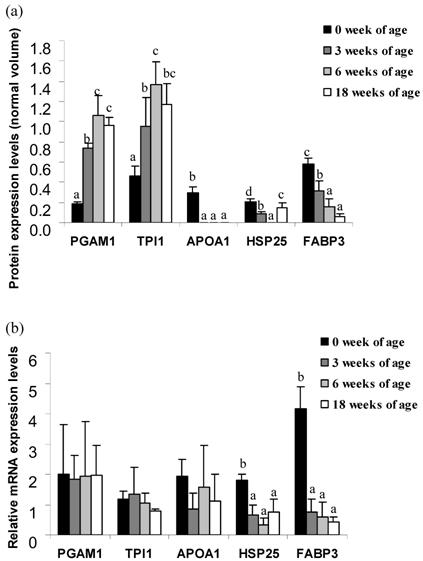 Int J Biol Sci Image