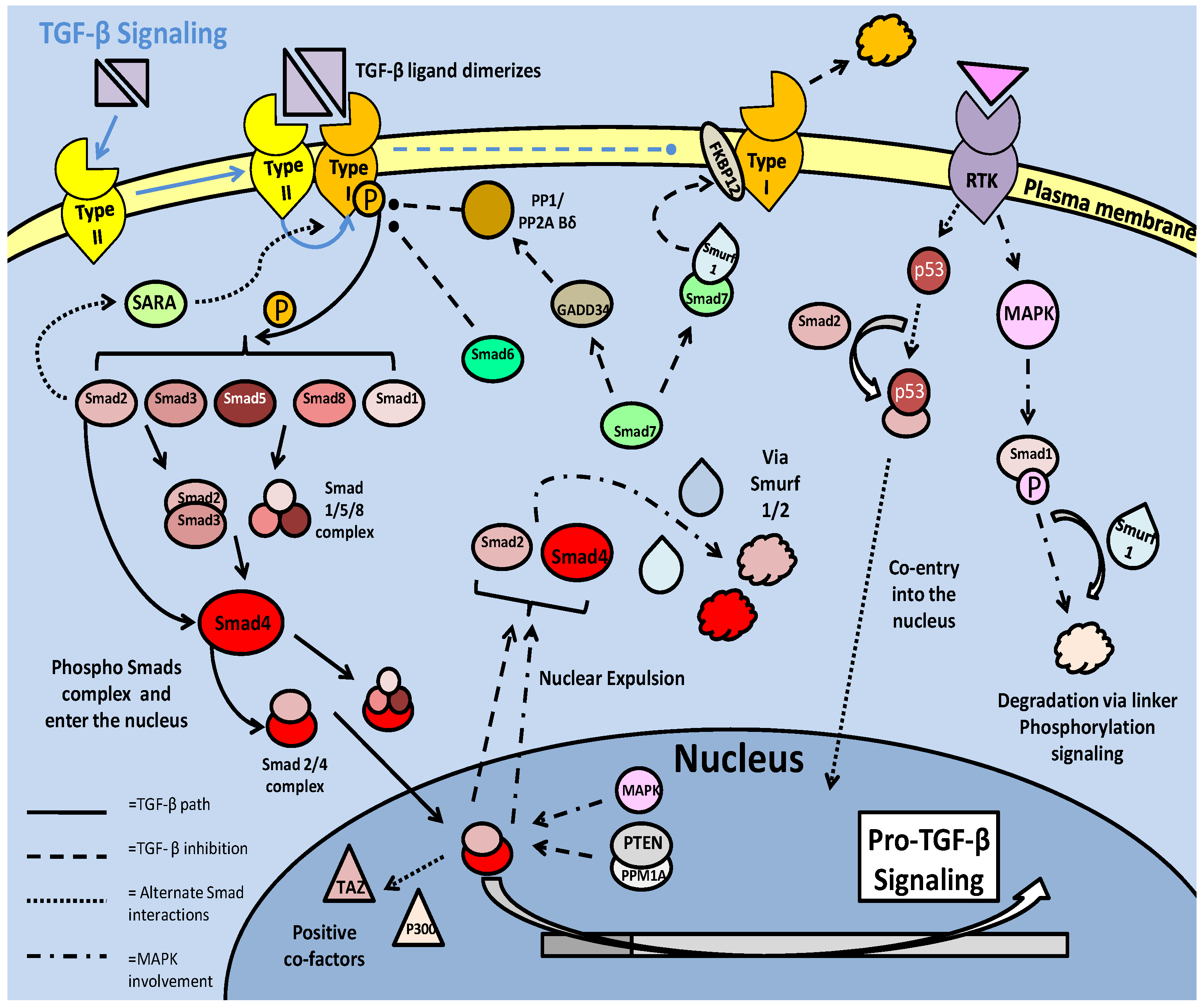 Int J Biol Sci Image