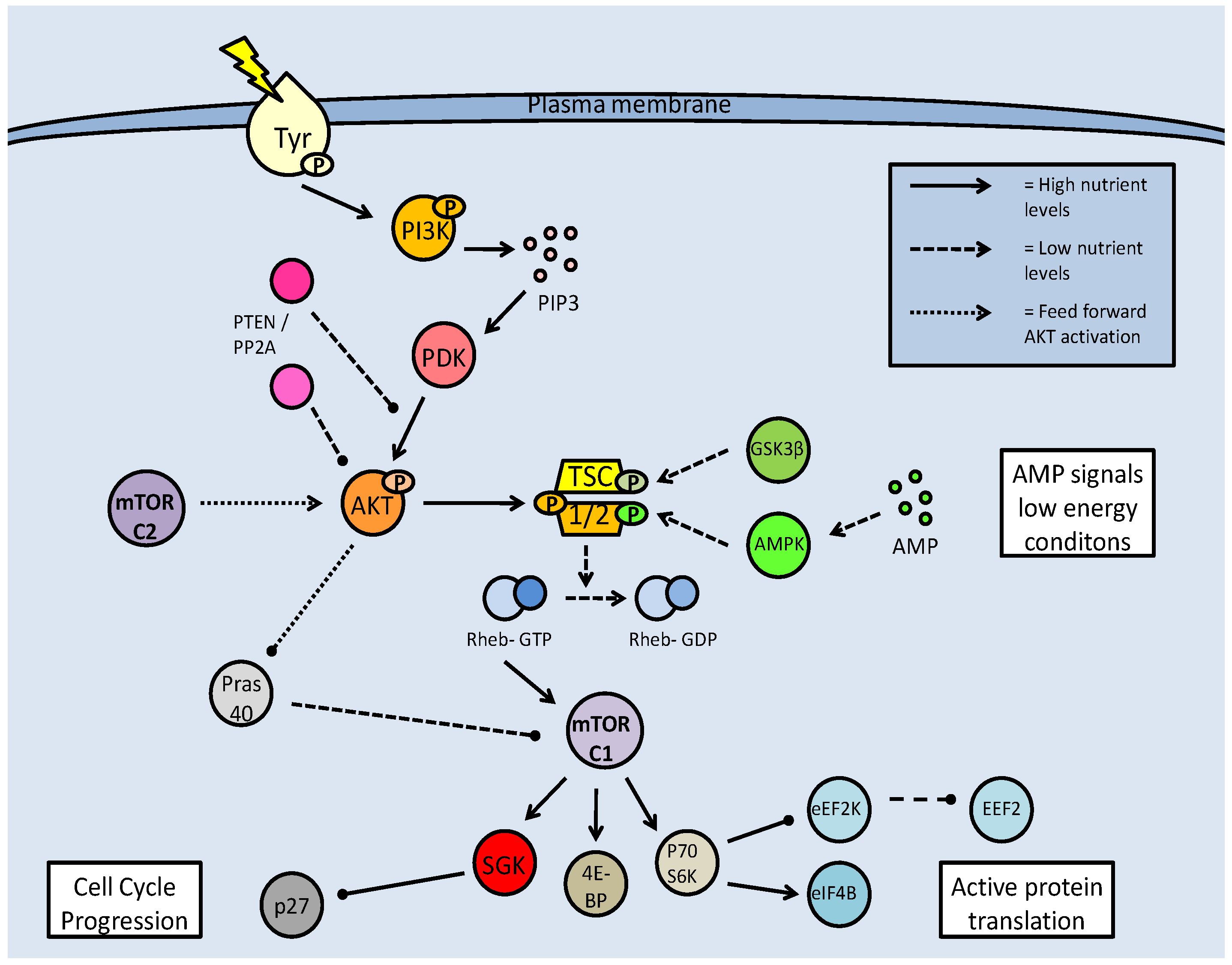 Int J Biol Sci Image