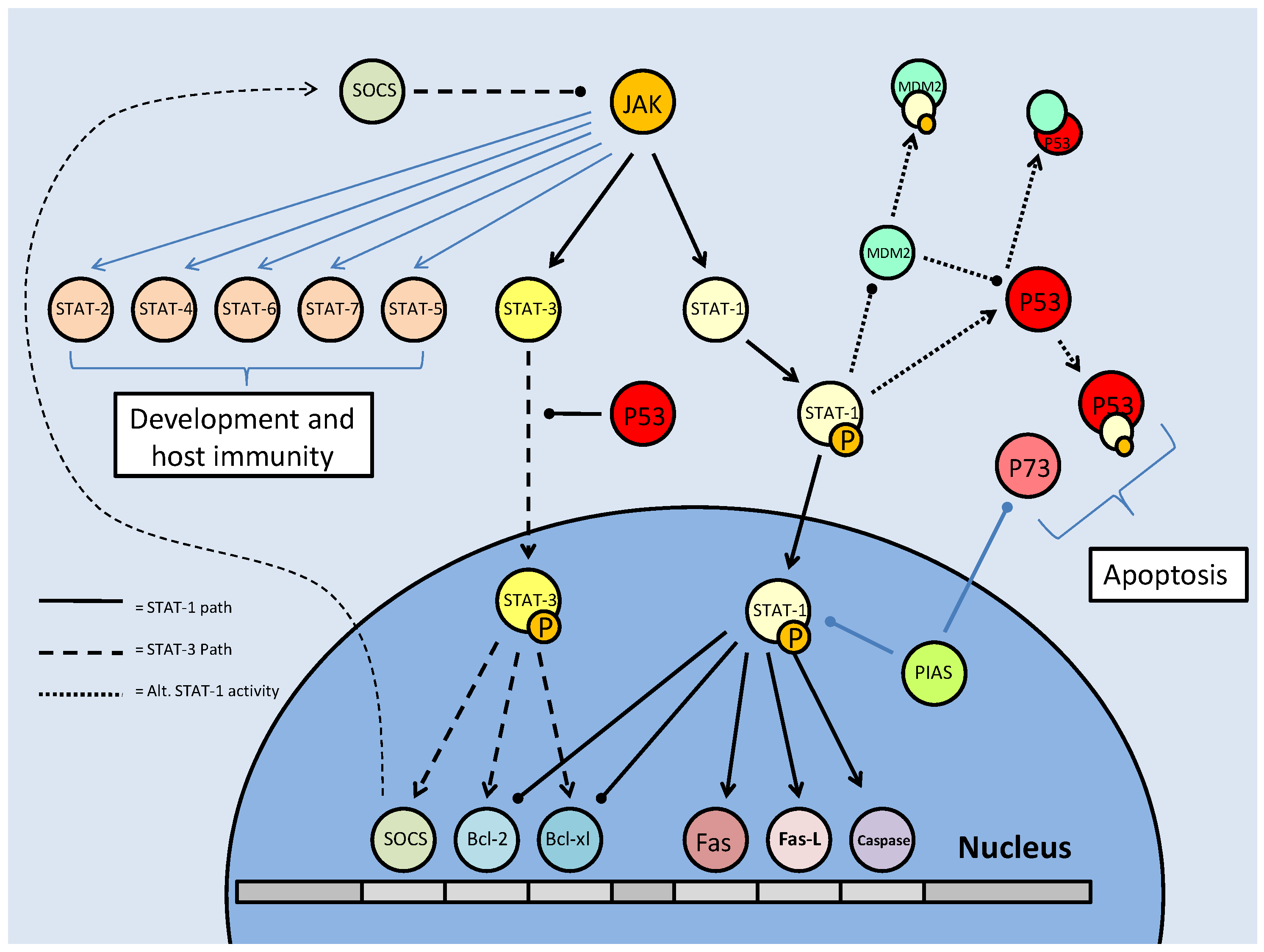 Int J Biol Sci Image