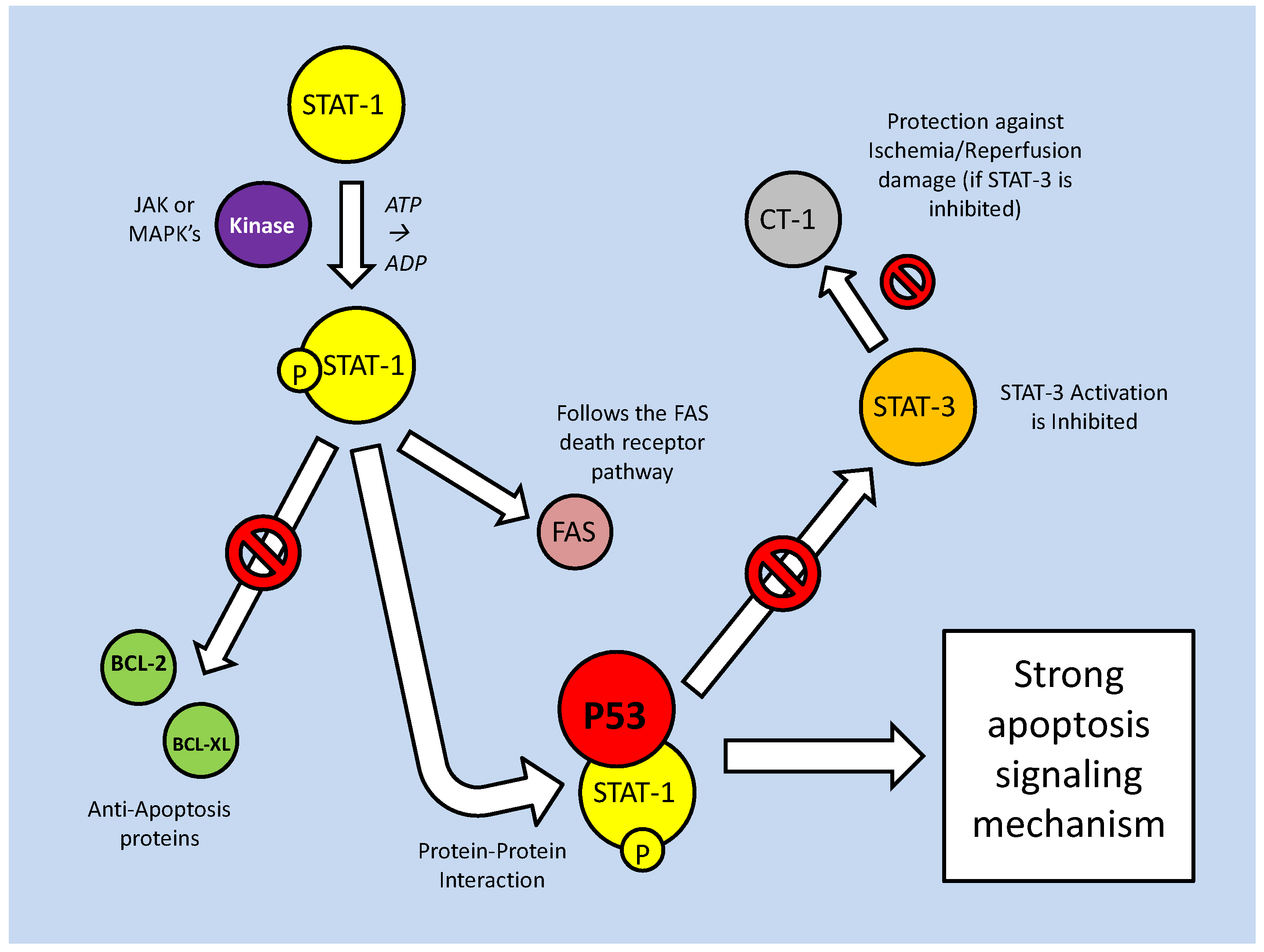 Int J Biol Sci Image