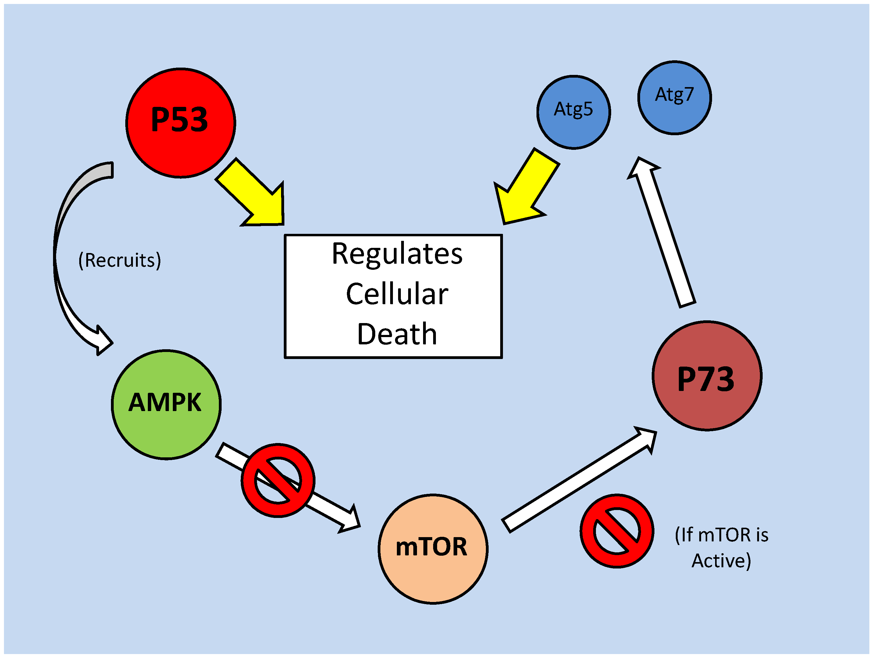 Int J Biol Sci Image