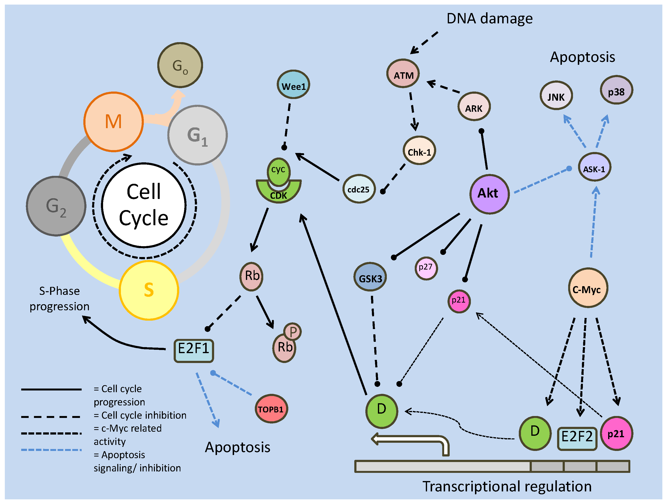 Int J Biol Sci Image