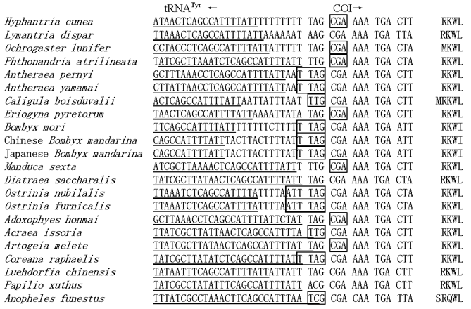 Int J Biol Sci Image