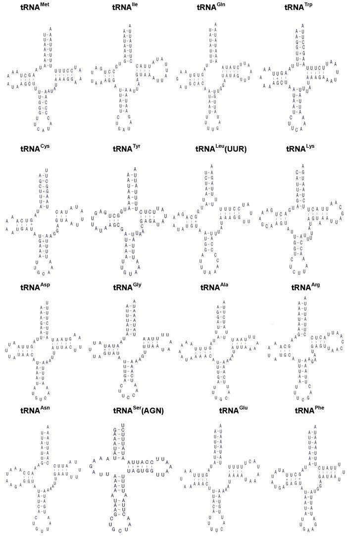 Int J Biol Sci Image