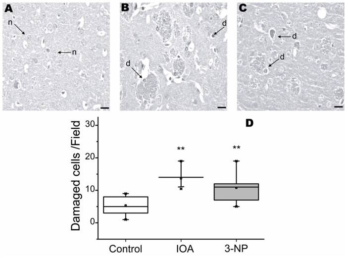 Int J Biol Sci Image