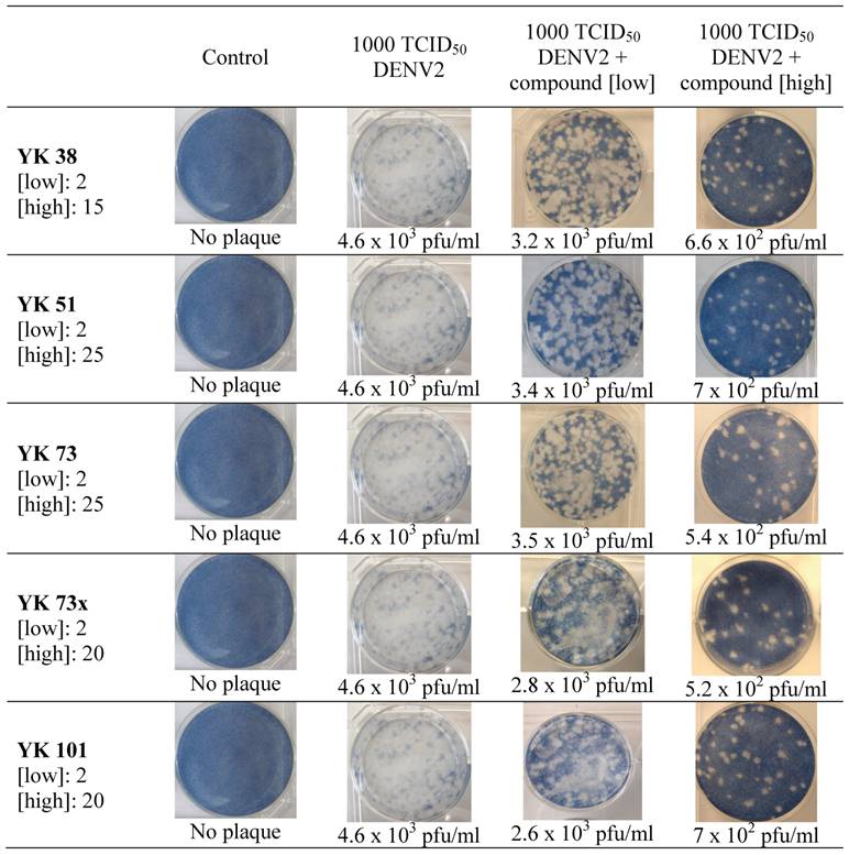 Int J Biol Sci Image