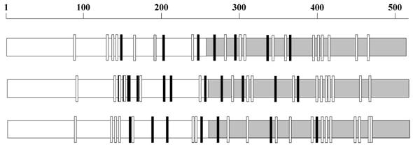 Int J Biol Sci Image