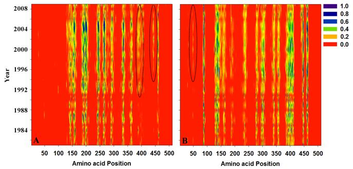 Int J Biol Sci Image