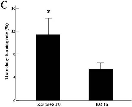 Int J Biol Sci Image