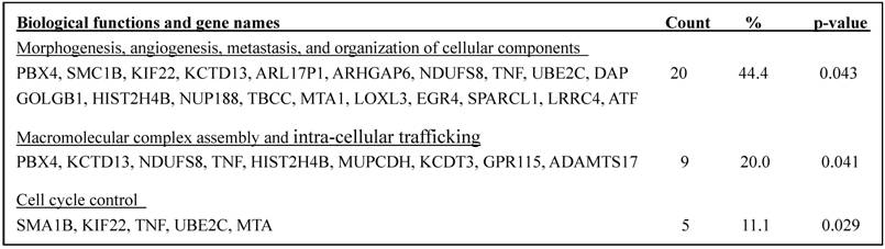 Int J Biol Sci Image