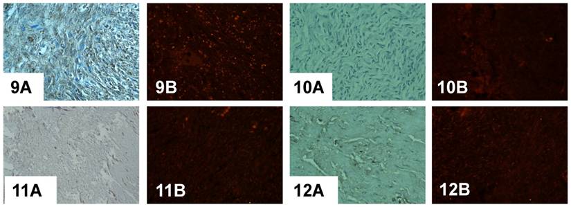 Int J Biol Sci Image