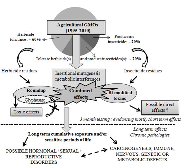 Int J Biol Sci Image