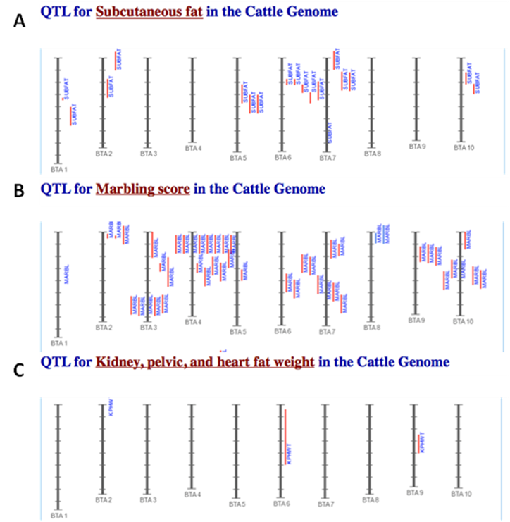 Int J Biol Sci Image