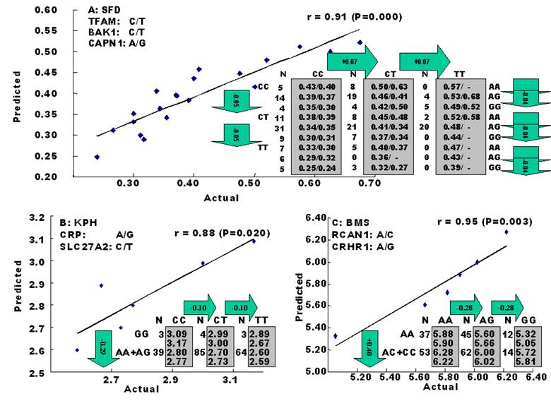 Int J Biol Sci Image