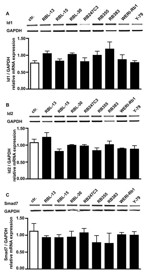 Int J Biol Sci Image