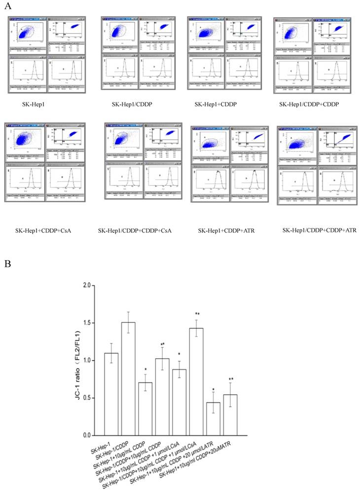 Int J Biol Sci Image