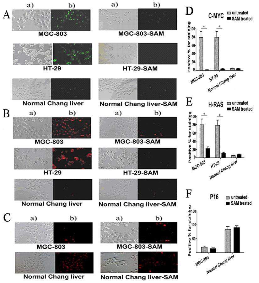 Int J Biol Sci Image