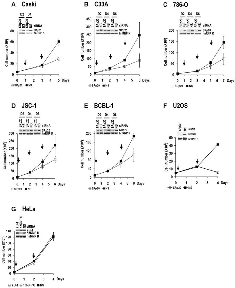 Int J Biol Sci Image