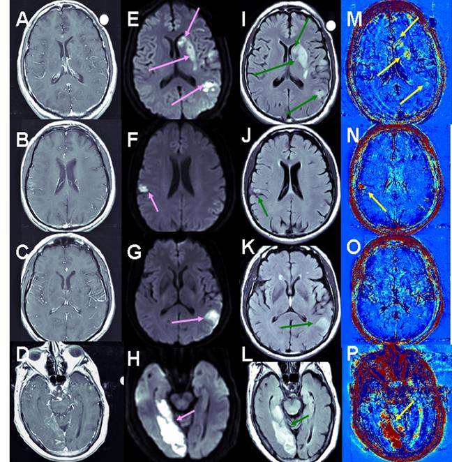 Int J Biol Sci Image