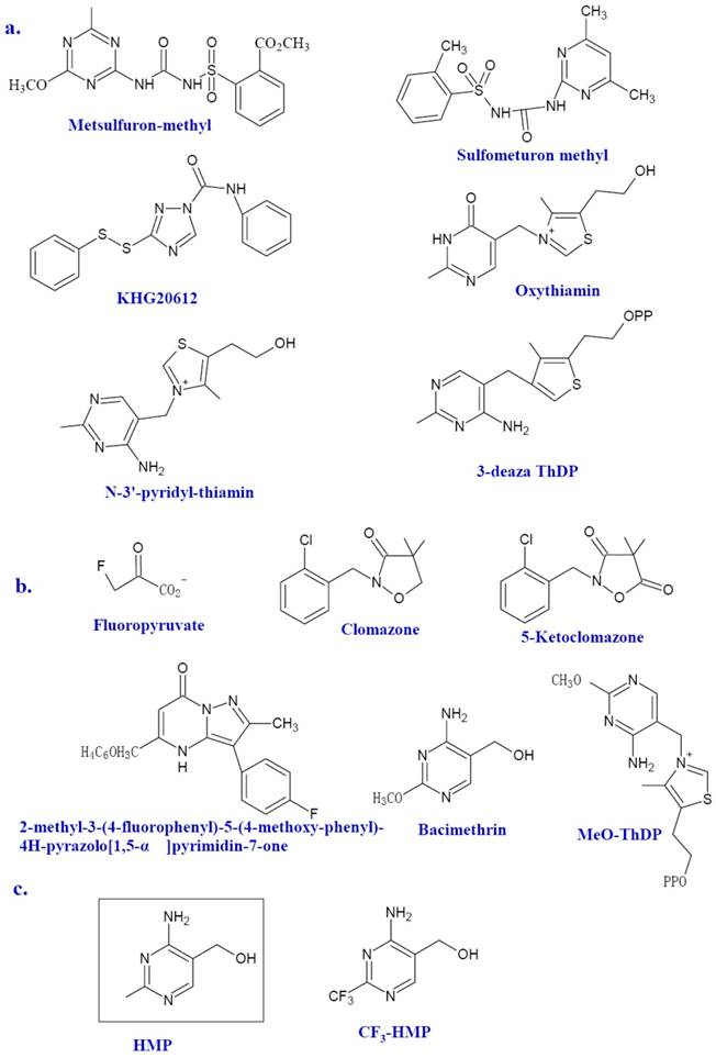 Int J Biol Sci Image