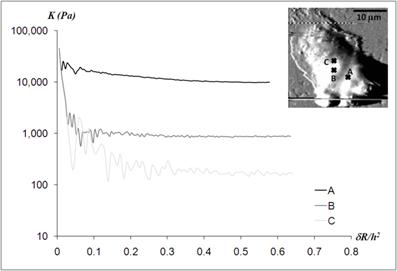 Int J Biol Sci Image