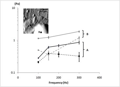 Int J Biol Sci Image