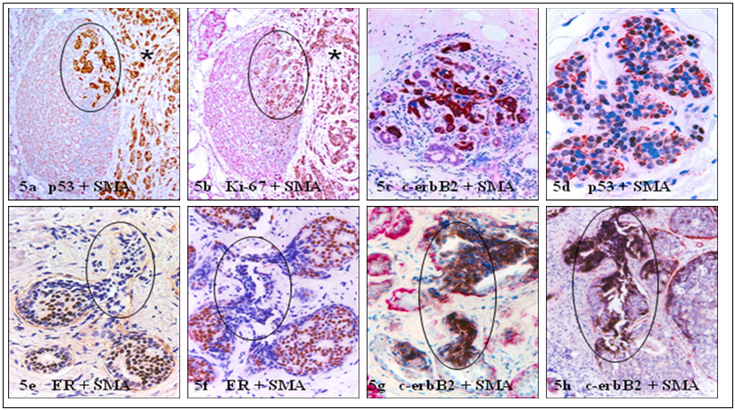 Int J Biol Sci Image