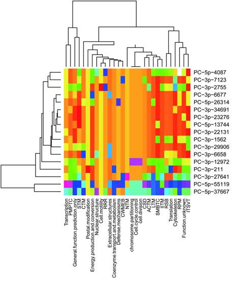 Int J Biol Sci Image