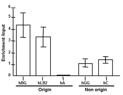 Int J Biol Sci Image