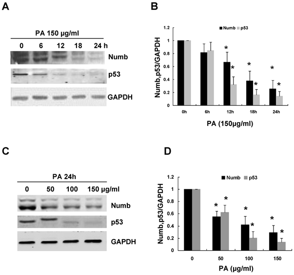 Int J Biol Sci Image