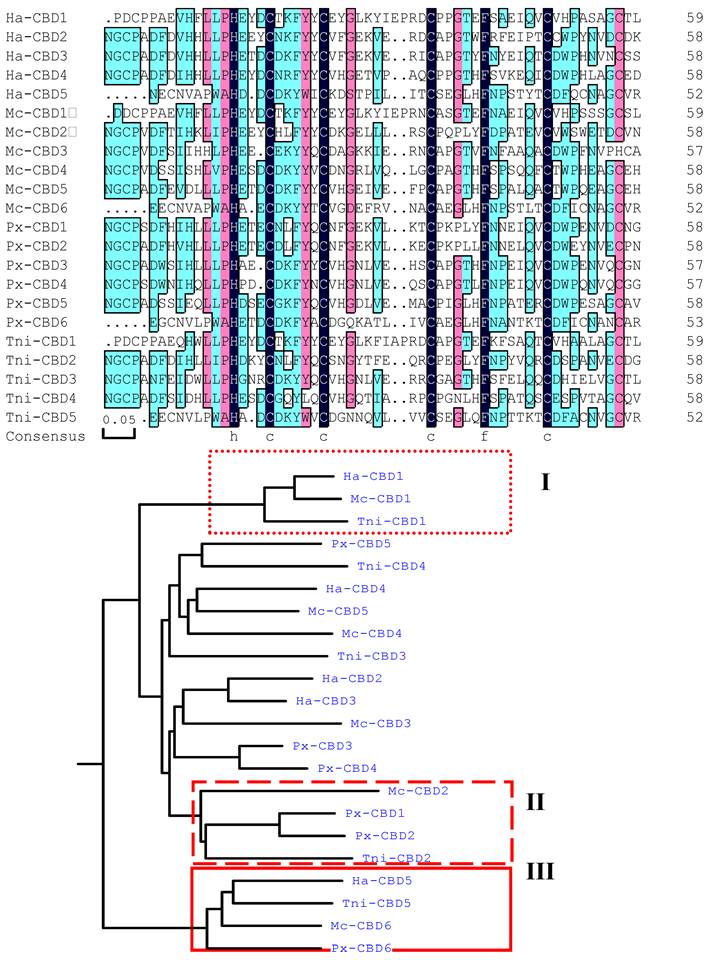 Int J Biol Sci Image