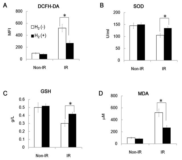 Int J Biol Sci Image