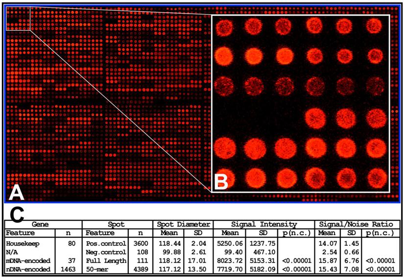 Int J Biol Sci Image